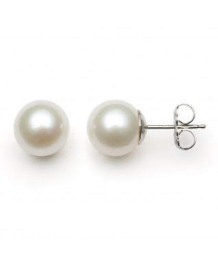 14KT WG FRESHWATER PEARL 7-8MM EARRINGS