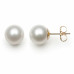 14KT YG FRESHWATER PEARL 8-9MM EARRINGS